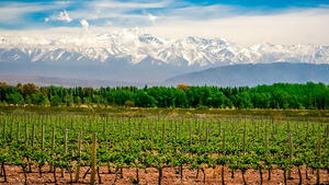 DÍA 11 – MENDOZA | BODEGAS DEL VALLE DE UCO