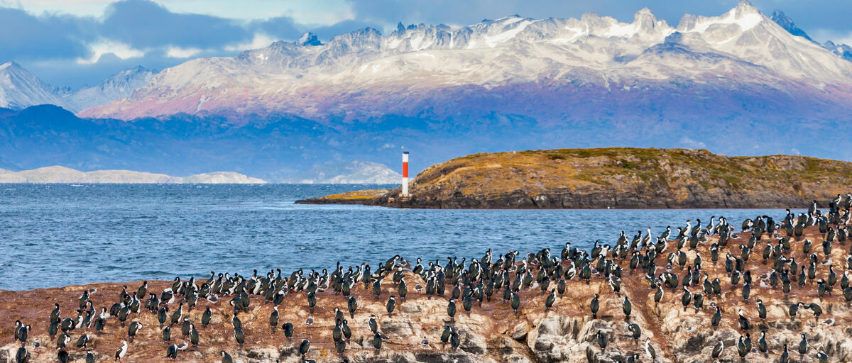 PATAGONIA SUR TOTAL con BUENOS AIRES 13 DIAS