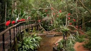 DÍA 5 – IGUAZÚ | CATARATAS BRASILEÑAS + PARQUE DAS AVES