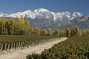 DÍA 3 – MENDOZA | VALLE DE UCO – BODEGAS Y VINOS DE ALTURA