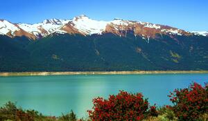 DÍA 22 – USHUAIA | PARQUE NACIONAL TIERRA DEL FUEGO y NAVEGACIÓN A LA PINGÜINERA
