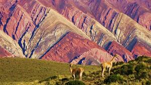 DÍA 7 – PURMAMARCA | QUEBRADA DE HUMAHUACA Y HORNOCAL