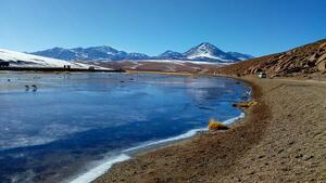 DIA 9 – SAN PEDRO DE ATACAMA | EXCURSION A GEYSERS DEL TATIO y VALLE DE LA LUNA